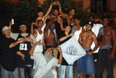 List of Sureño Cliques | WikiLists | Fandom