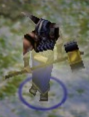 Valgaror Elkboot