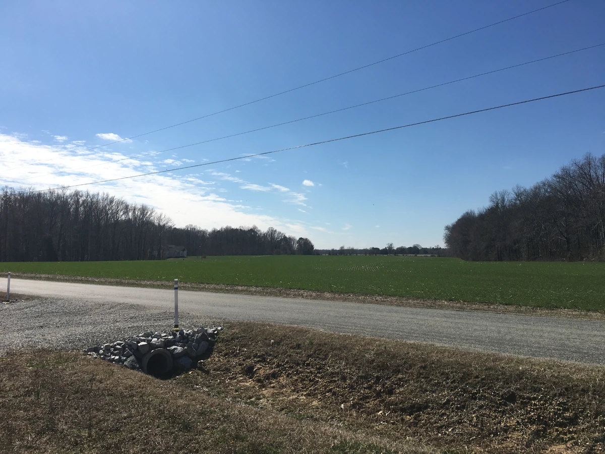 Gaines' Mill Historica Wiki Fandom