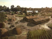 A Pre-Columbian  village