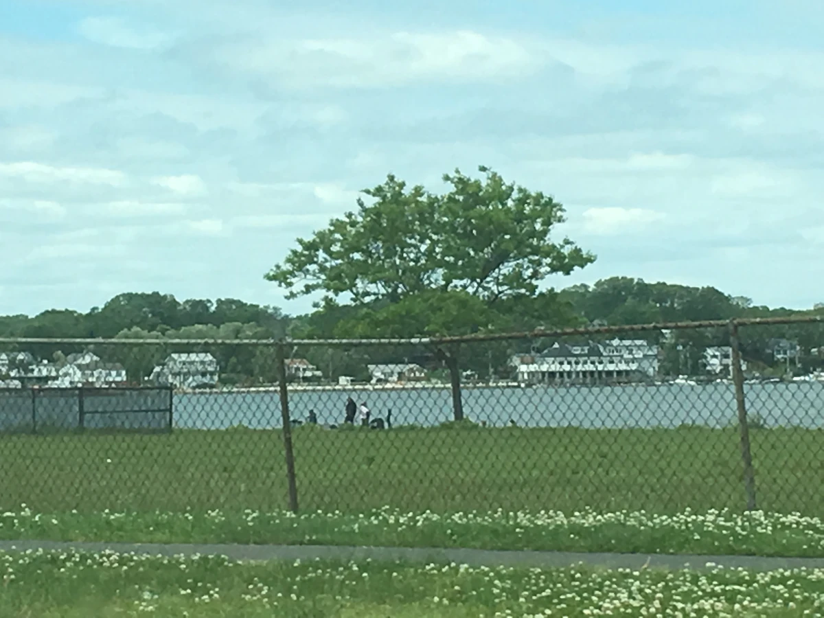 Shark River Hills Historica Wiki Fandom