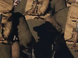 Horatio Jefferson MacAllister