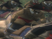 Nikka Argall