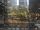 Zuccotti Park