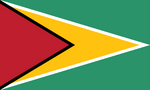 Flag of Guyana