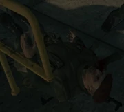 Alogrin Maksim Vladislavovich