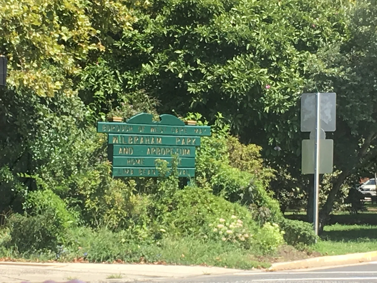 Wilbraham Park Historica Wiki Fandom