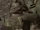 Lloyd A. Habel