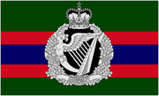 Royal Irish Regiment