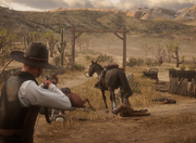 Arizona killing several lawmen in Tumbleweed