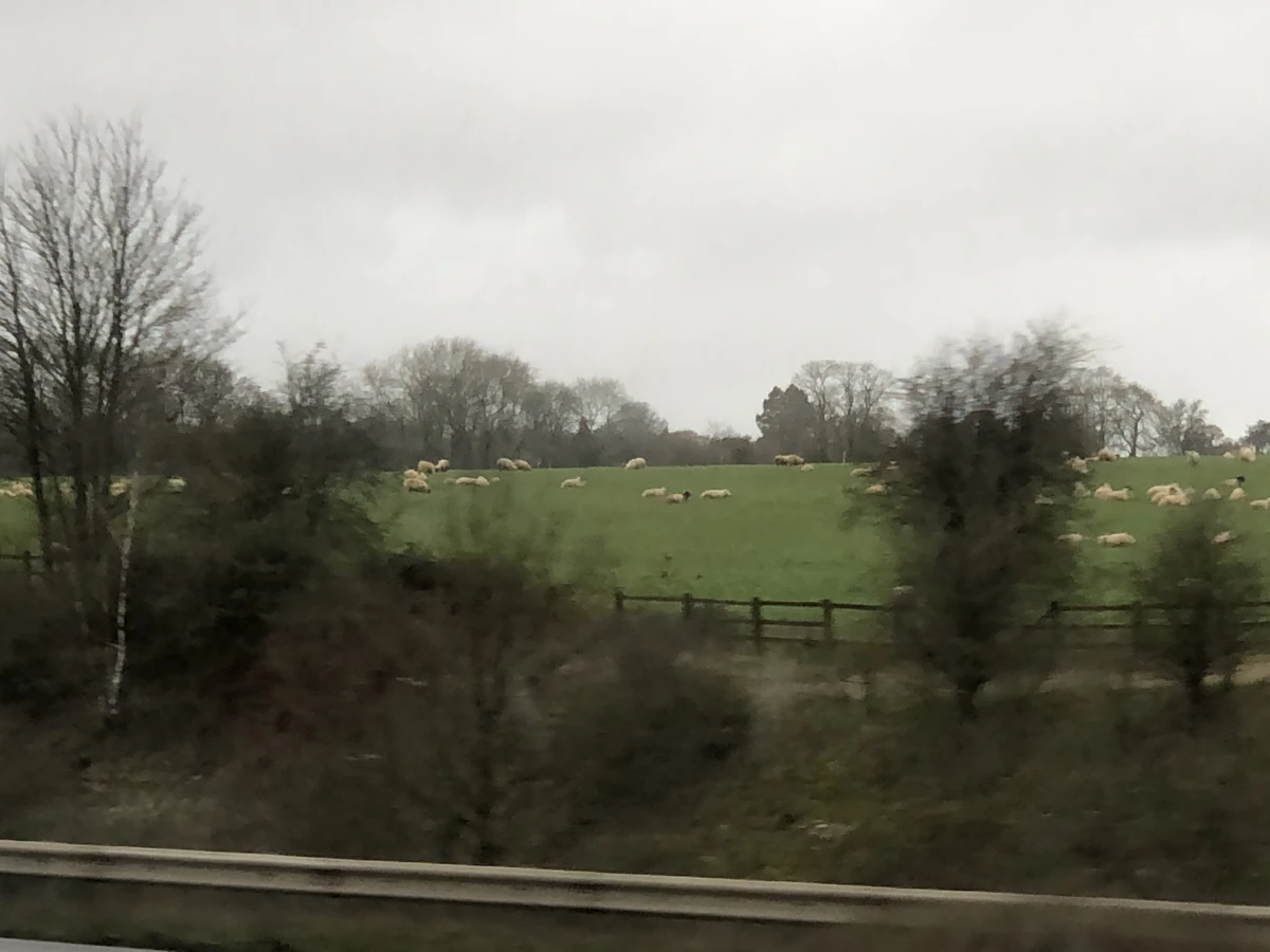 Shefford Woodlands Historica Wiki Fandom