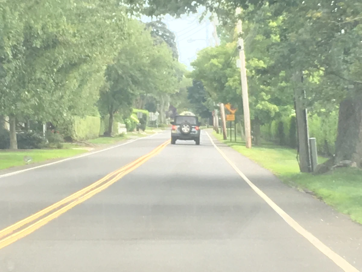 Bingham Avenue Historica Wiki Fandom