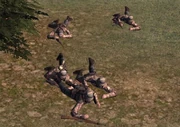 Panzergrenadiers in , 1943