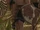 Ahmose, son of Qetesh