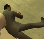 Alan Garibay Hurtado