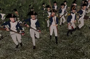 French troops during the Napoleonic Wars