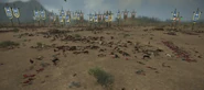 The casualties on the battlefield.