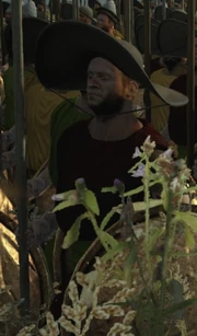 Aristoxenus, son of Philotas