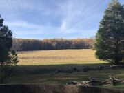 Surrender Field