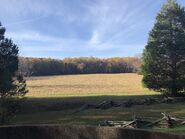 The Surrender Field