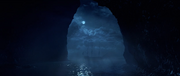 Isla de Muerta