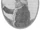 Alexander Leslie