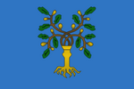 Flag of Urbino