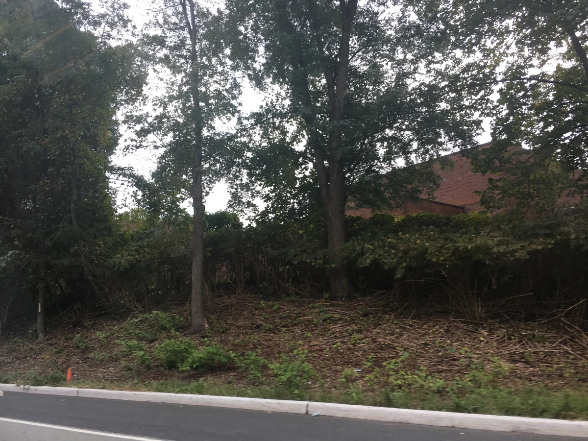 Springfield Township, Union County, New Jersey Historica Wiki Fandom