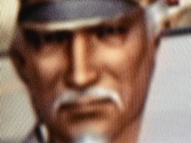 Chikayoshi Hiraiwa Historica Wiki Fandom