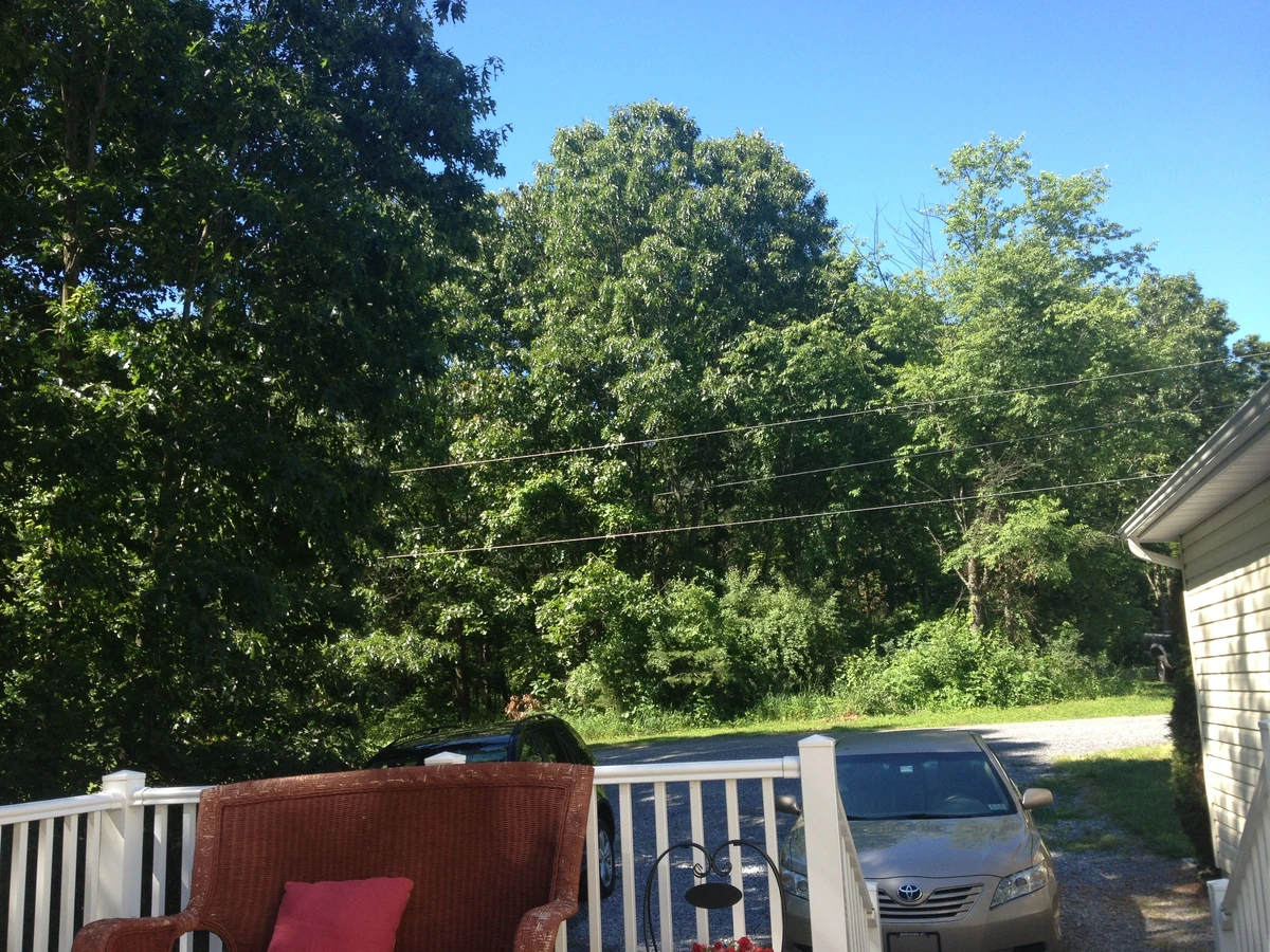 Martinsburg, West Virginia Historica Wiki Fandom