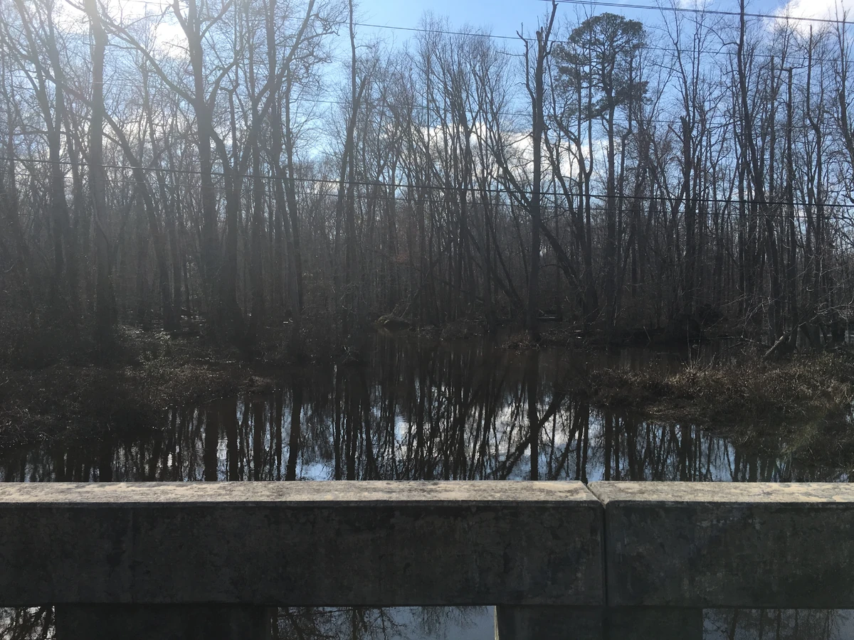 White Oak Swamp Historica Wiki Fandom