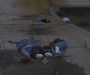 A group of dead Marabunta Grande members