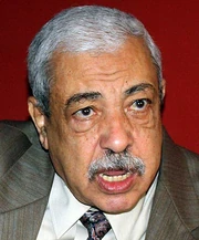 Mansour el-Essawy