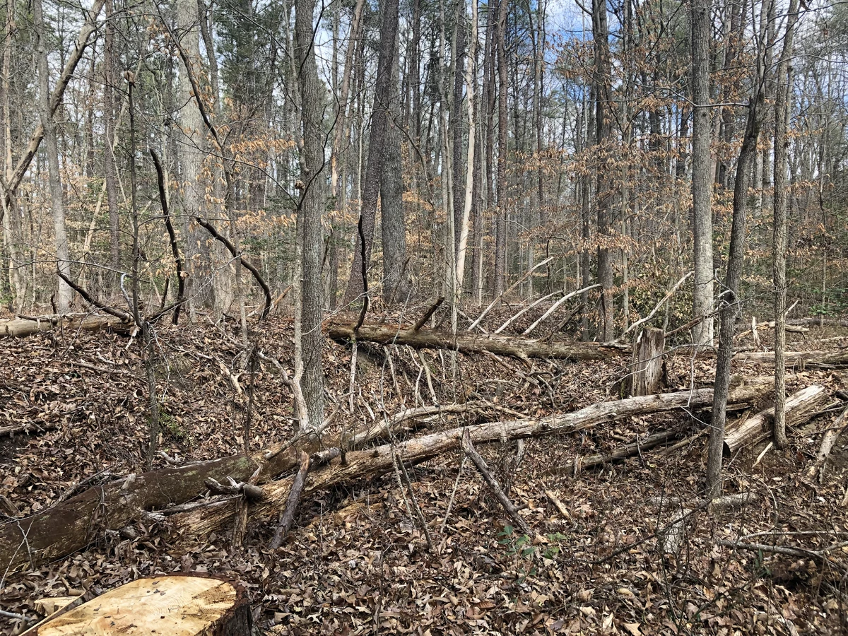 Battle of North Anna Historica Wiki Fandom