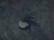 Sister Blaeswith's body