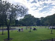 St. Stephen's Green