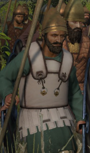 Afshar Paliwala