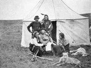 3d7055eb-2de0-5e06-9221-1165c84c6edb.preview-300.jpg (78 KB)