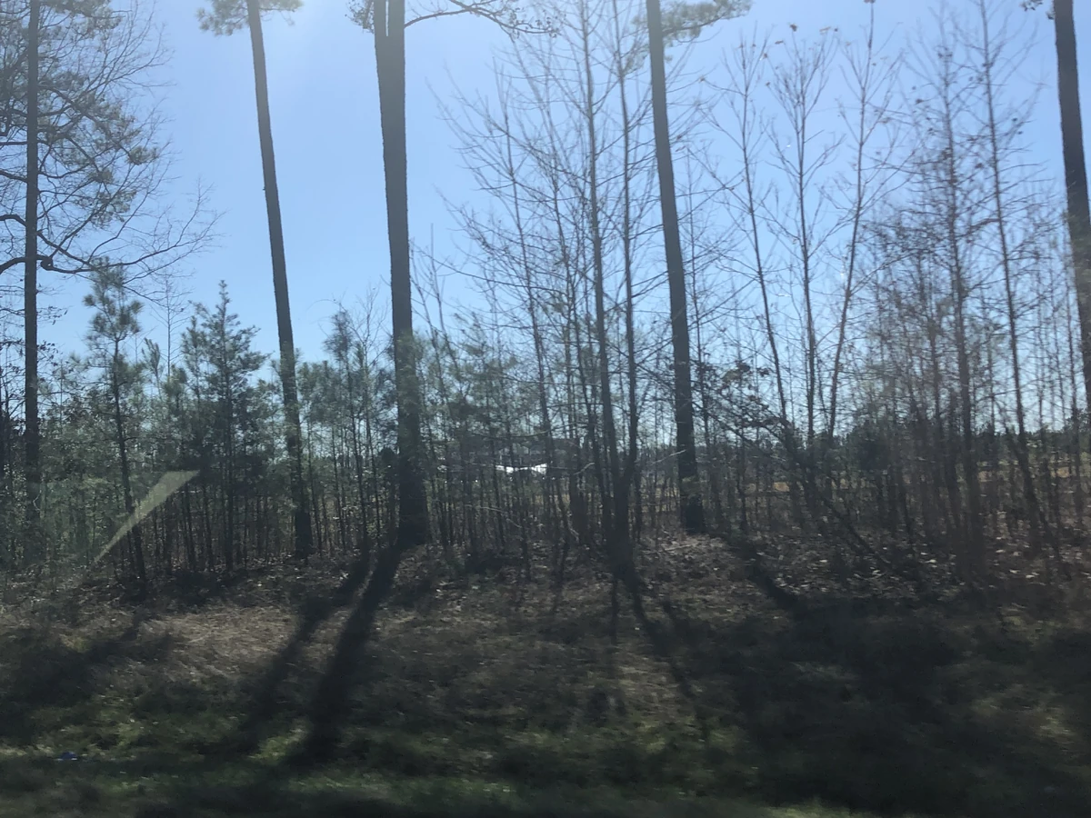 New Kent, Virginia | Historica Wiki | Fandom Weather in new kent virginia