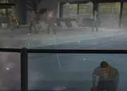 Gomez Cartel enforcers in 1984