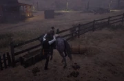 Arizona stealing a horse from the ranchers at Ridgewood Farm