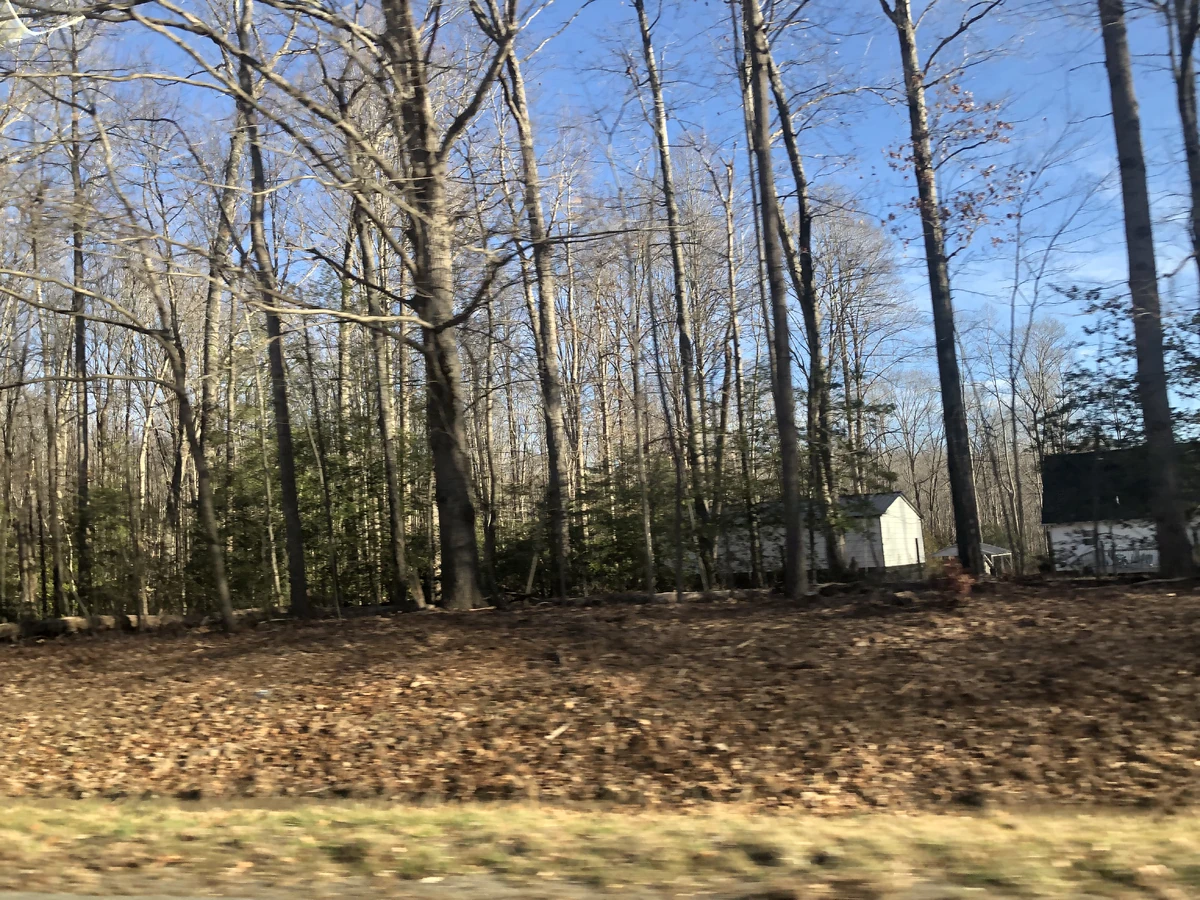 Shannon Hill, Virginia Historica Wiki Fandom