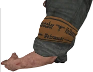 A Volkssturm armband