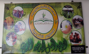 Ashbal al-Tawheed