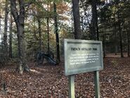 The French artillery park