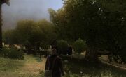 Bois de Boulogne