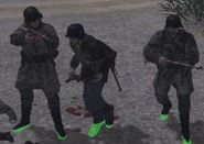 Three Waffen-SS stormtroopers