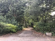 A trail in the park