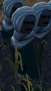 Mateen Kayani