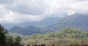 Raimona National Park, Eastern (Assam) Dooars